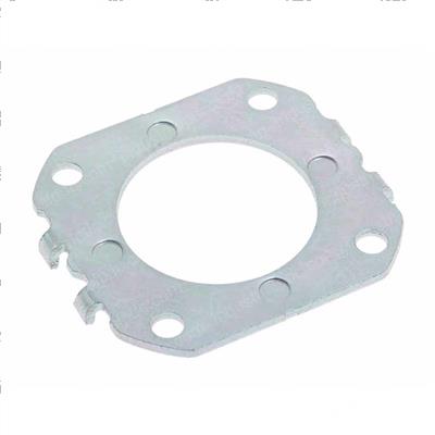 Picture of Plate