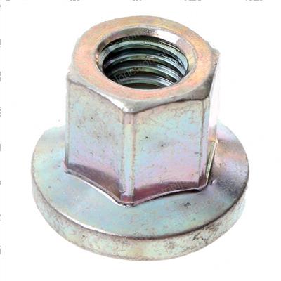 Picture of Nut