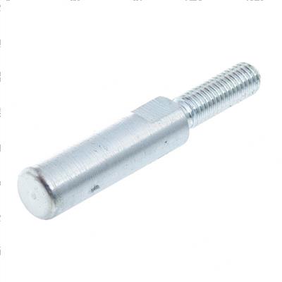 Picture of Pin