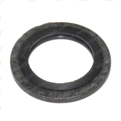 Picture of Seal Washer 12