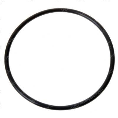 Picture of O-Ring