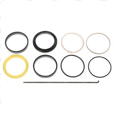 Picture of Ram Seal Set