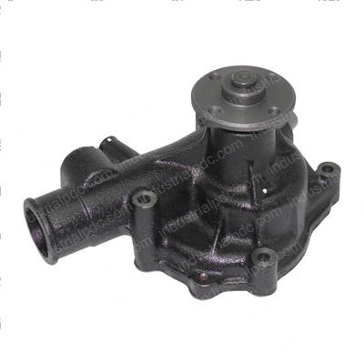 Picture of Pump Assembly -Water