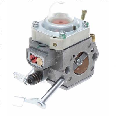 Picture of Carburetor Assy.