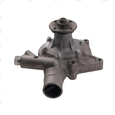 Picture of Pump - Water