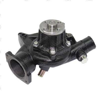 Picture of Pump Assembly - Water