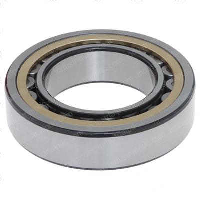 Picture of Bearing
