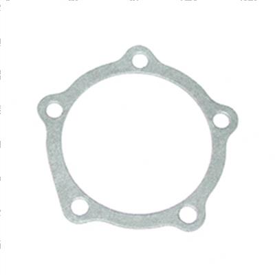 Picture of Gasket - Water Pump