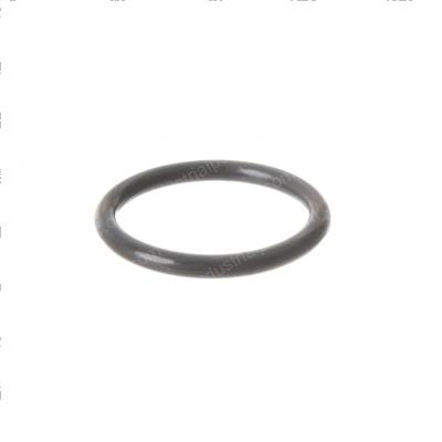 Picture of O-Ring
