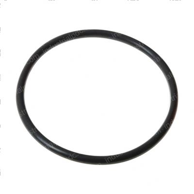 Picture of Seal