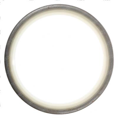 Picture of Seal - Dust