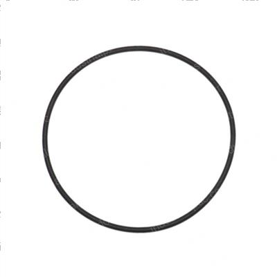 Picture of O-Ring
