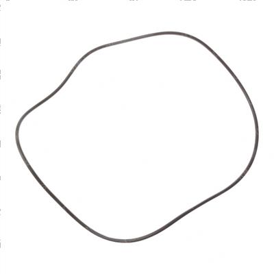 Picture of O-Ring