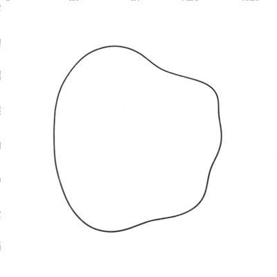 Picture of O-Ring