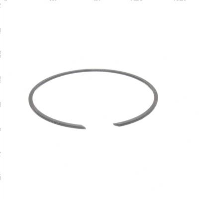 Picture of Snap Ring