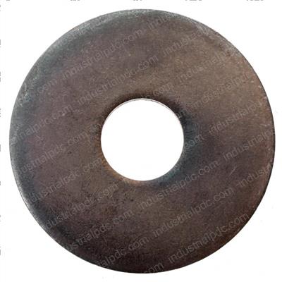Picture of Friction Washer