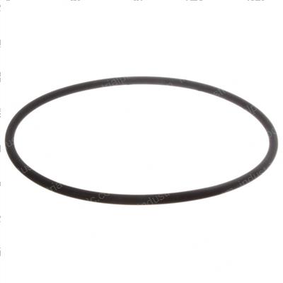 Picture of O-Ring