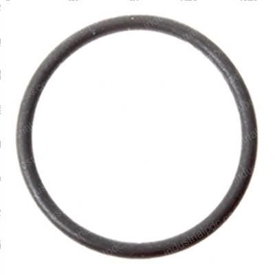 Picture of O-Ring