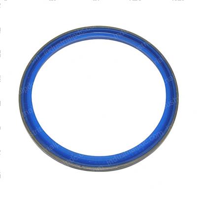 Picture of Ring - Wiper