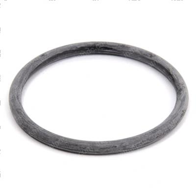 Picture of O-Ring
