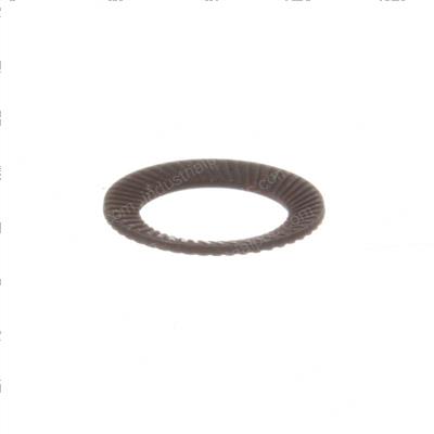 Picture of Washer - Lock