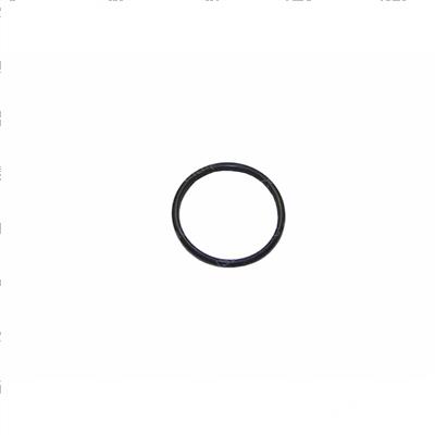 Picture of Seal - Thermostat