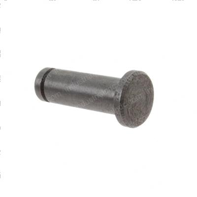 Picture of Bolt