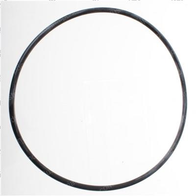 Picture of O-Ring