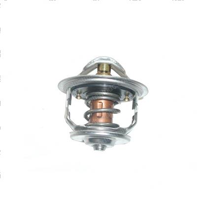 Picture of Thermostat