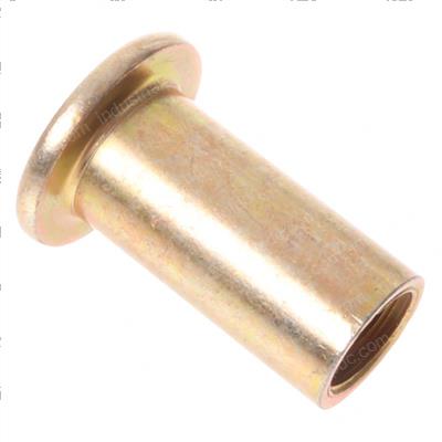 Picture of Insert M10 X 1.