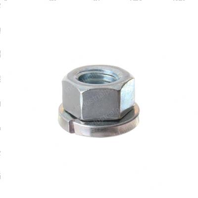 Picture of Nut - Special