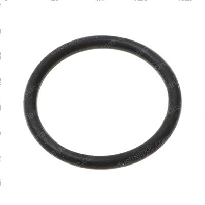 Picture of O-Ring