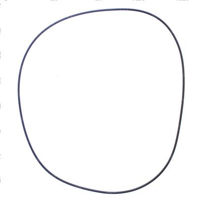 Picture of O-Ring