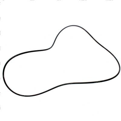 Picture of O-Ring