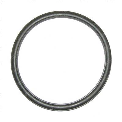 Picture of Gasket