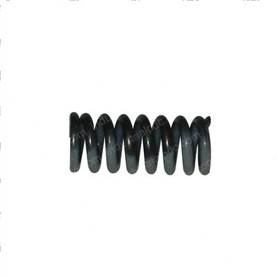 Picture of Spring- Deliv Valve