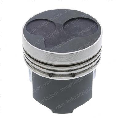 Picture of Piston-+5