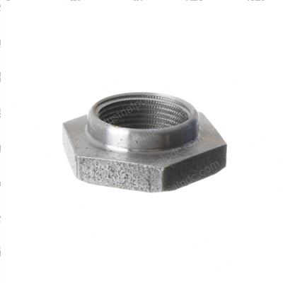 Picture of Nut