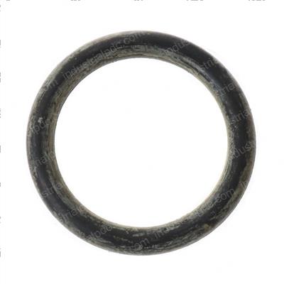 Picture of O-Ring