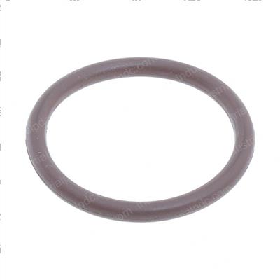 Picture of O-Ring
