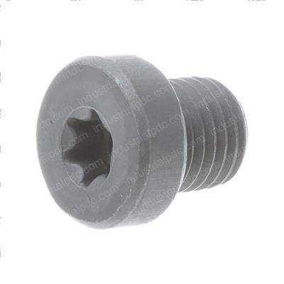 Picture of Plug Threaded