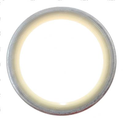 Picture of Seal-Dust