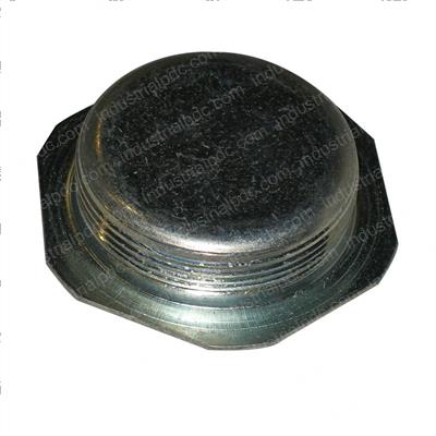 Picture of Plug