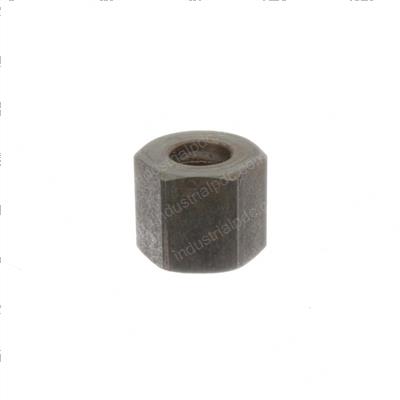 Picture of Nut