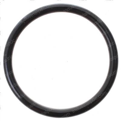 Picture of O-Ring