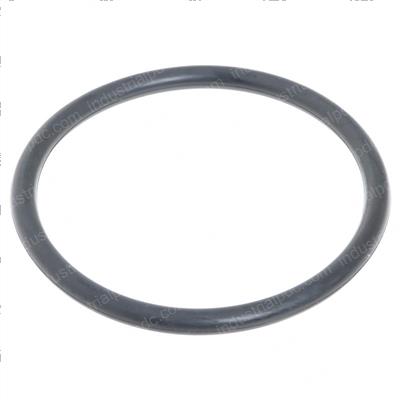 Picture of O-Ring