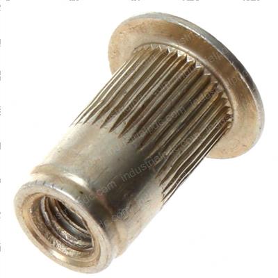 Picture of Insert