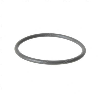 Picture of O-Ring