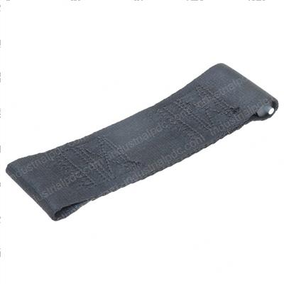 Picture of Strap - Door