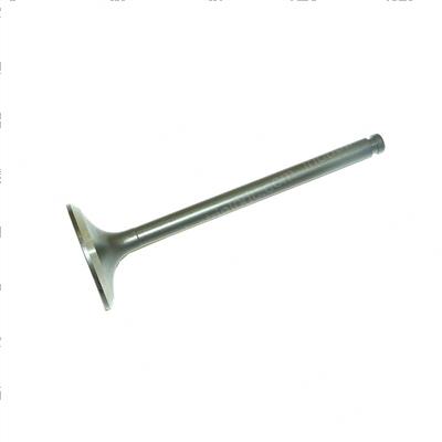 Picture of Valve - Intake